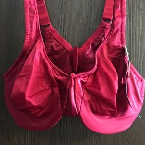 Olga 40D Red Underwire Bra